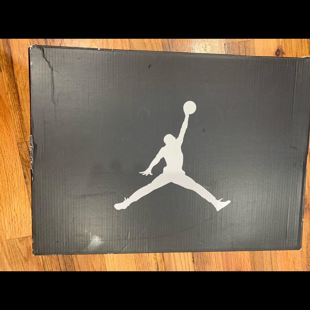 Air Jordan Retro 10 Size 12 used like new